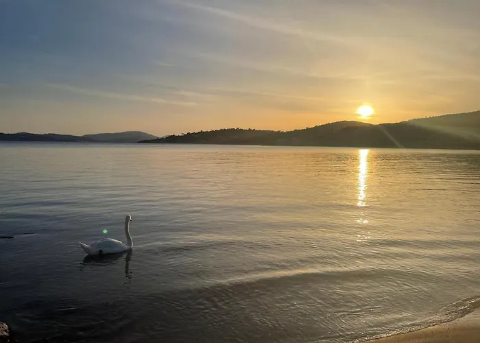 Appartement Grand - - Résidence De La Rose Sainte-Maxime